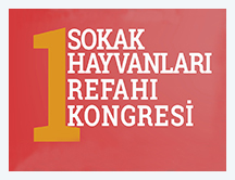 1. Sokak Hayvanları Refahı Kongresi Yapılacak