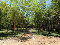 ATAŞEHİR'DE HEM PARK SAYISI ARTIYOR HEM DE MEVCUT PARKLAR YENİLENİYOR