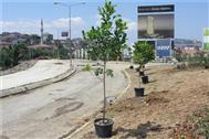 Ataşehir'de Yol Yapım Ve Yeşillendirme Çalışmaları Hız Kazandı