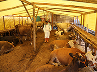 KURBAN SATIŞ YERLERİ BELİRLENDİ