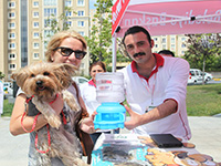 Sokak Hayvanlarına ‘Damacana’