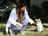 CAN DOSTLARIMIZ AŞILANIYOR